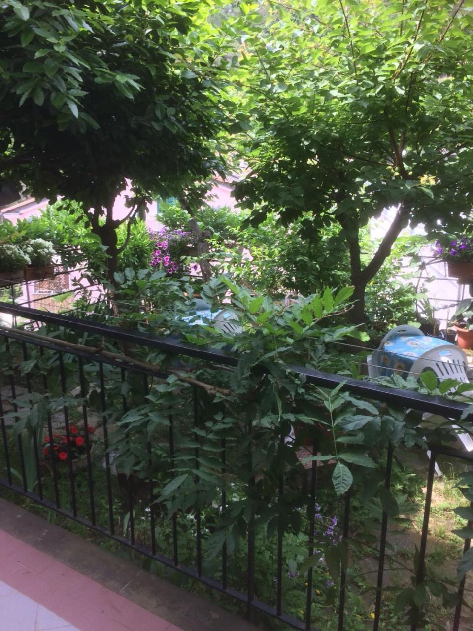 In Tracastello - Air Cond - Parking Not Included - Hotel Riomaggiore Exterior photo